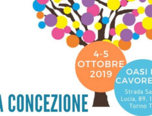 Concezione Operativa di Gruppo – Frontiera del Lavoro di Comunita’ e nelle Istituzioni